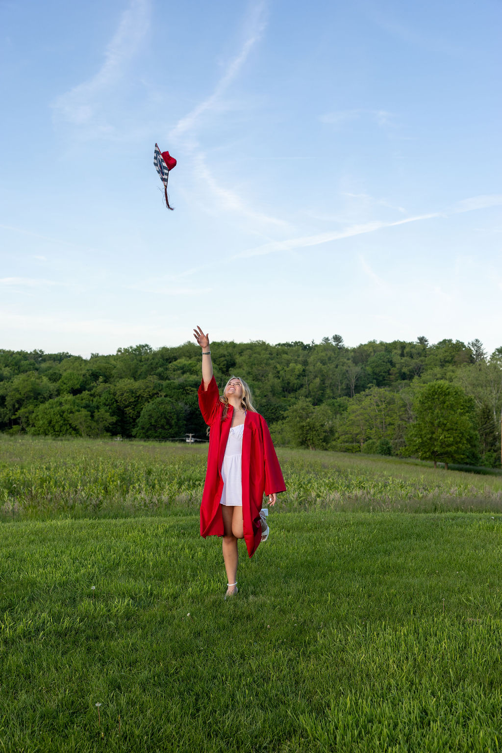 Thumbnail of Photo 4